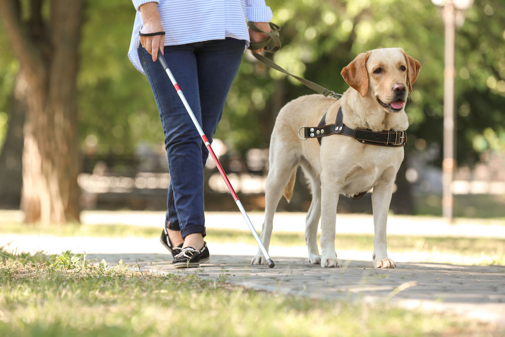 AIpowered backpack helps blind people to navigate Newsflash